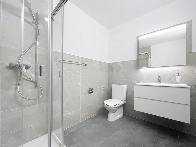 Bel appartement de 2 pièces à proximité du centre-ville (8)
