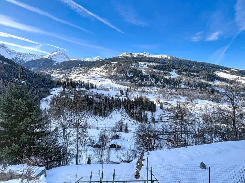 Chalet canadien en rondins avec deux appartements et vue imprenable (5)