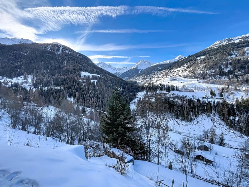 Chalet canadien en rondins avec deux appartements et vue imprenable (4)
