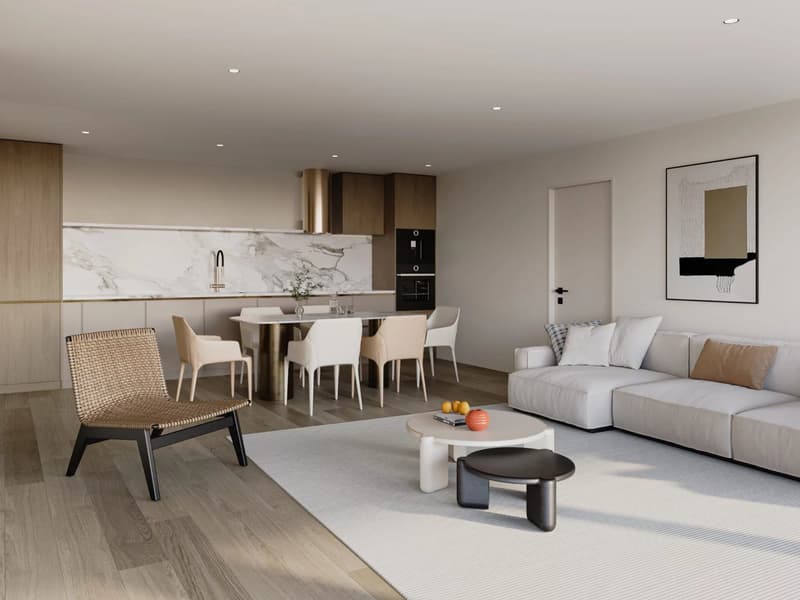 Appartement neuf en attique de 3.5 pièces avec terrasse (5)