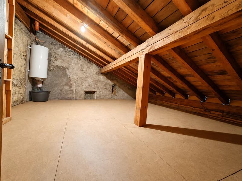 Spacieux appartement de 4.5 pièces avec fort potentiel d'agrandissement (8)