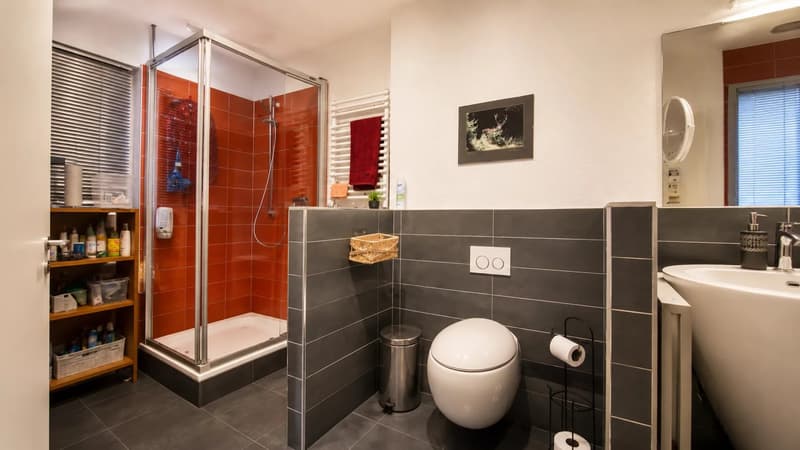 Appartement de 4,5 pièces au 10e étage avec vue panoramique (8)