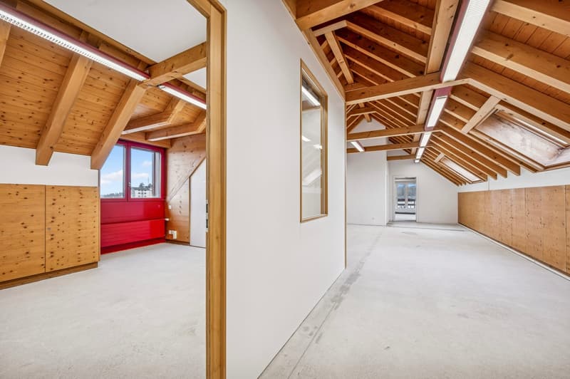 white walls, wooden ceiling, windows, wooden cupboards, empty room