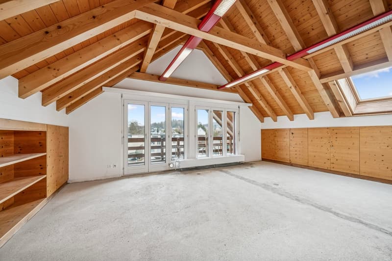 high ceiling, wooden shelves, white walls, sliding glass doors, skylights