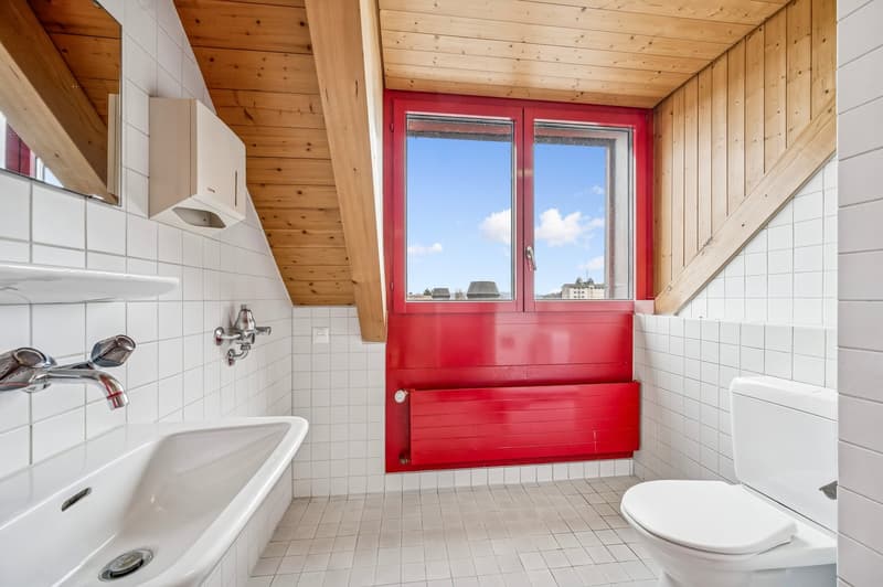 wooden roof, red wall, white tiles, toilet, sink, mirror, radiator