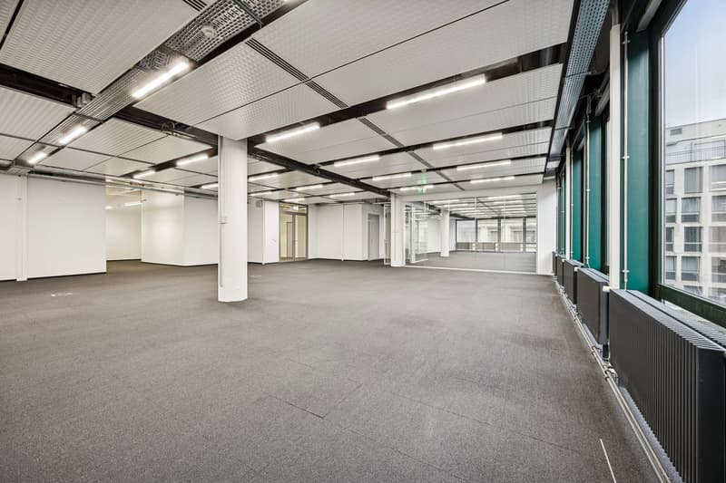 empty room, gray carpet, white walls, overhead lighting, green window frames