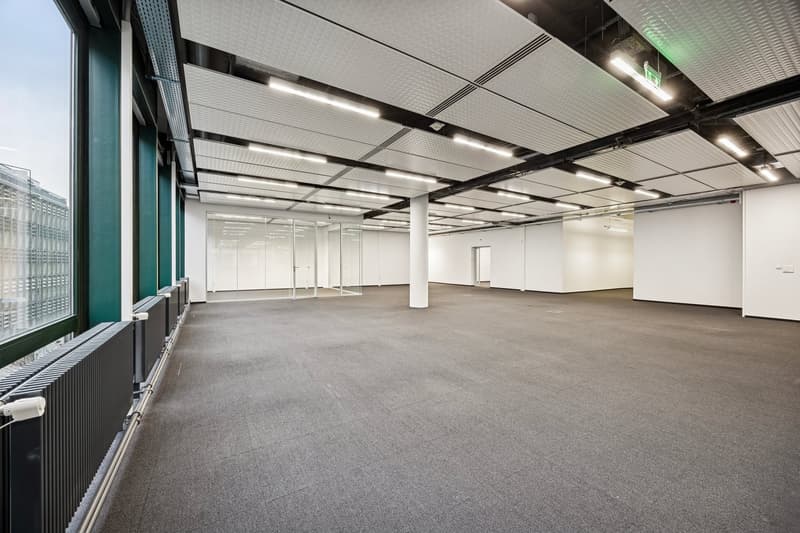 Modern office space with glass walls, neutral-colored walls, gray carpet, and linear lighting fixtures along the ceiling.