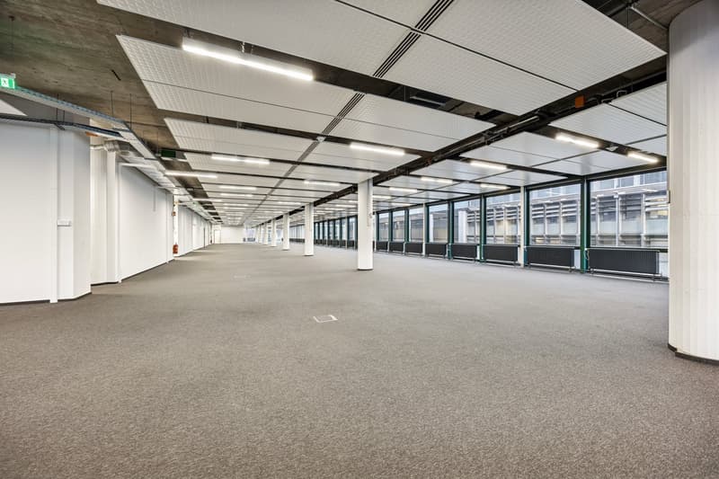 Empty hallway with white walls, gray floor, white ceiling with lights, glass windows, fire extinguishers, and pillars.