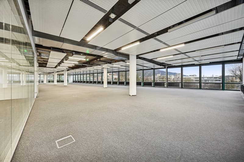Glass walls, white ceiling tiles, white fluorescent ceiling lights, carpeted floor, white columns
