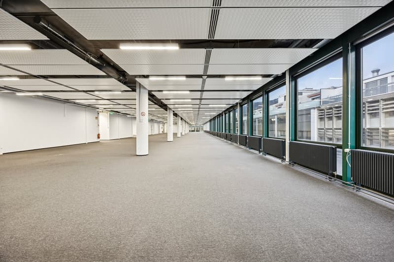 long hallway, white walls, gray carpet, large windows, white ceiling with lights, fire extinguisher