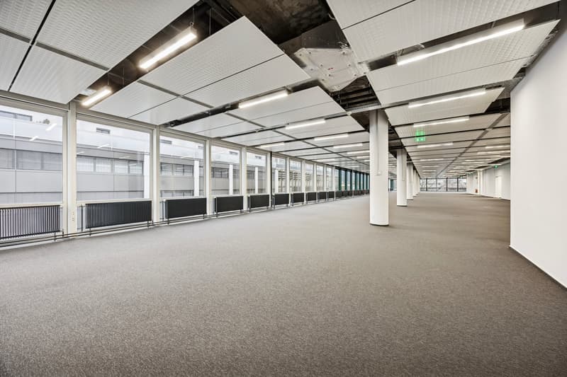 Empty office space with large windows, white walls, gray carpet, and ceiling lights