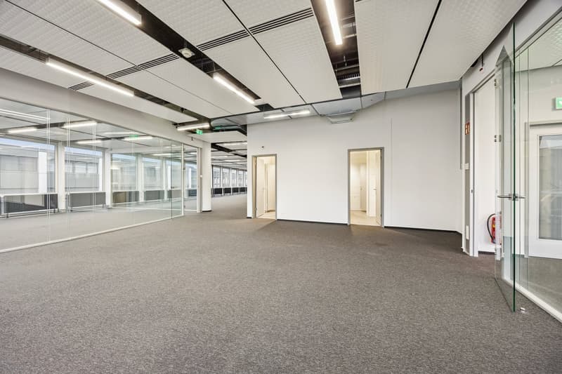 An empty office space with gray carpeted floor, glass walls, ceiling lamps, and an open door.