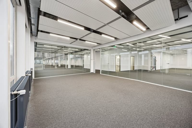 large open space, glass walls, carpeted floor, white walls, ceiling lights
