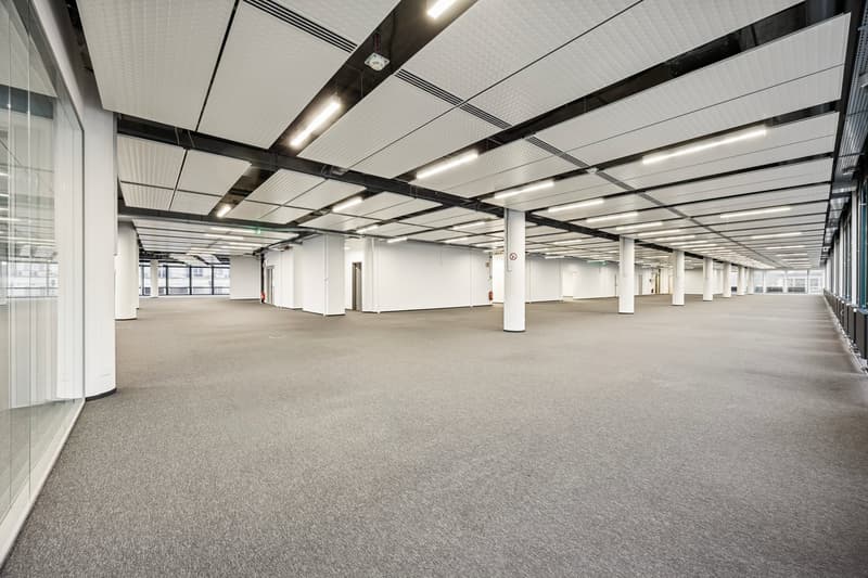spacious room, gray carpet, white walls, white ceiling, fluorescent lights
