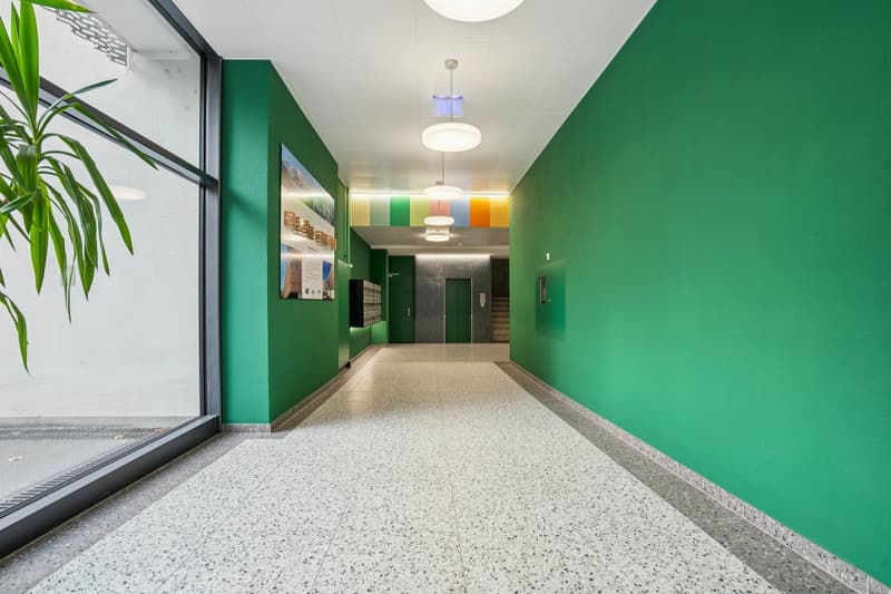 Nuovo appartamento di 2 camere in una casa multifamiliare appena ristrutturata (2)