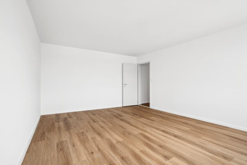 Nuovo appartamento di 2 camere in una casa multifamiliare appena ristrutturata (4)