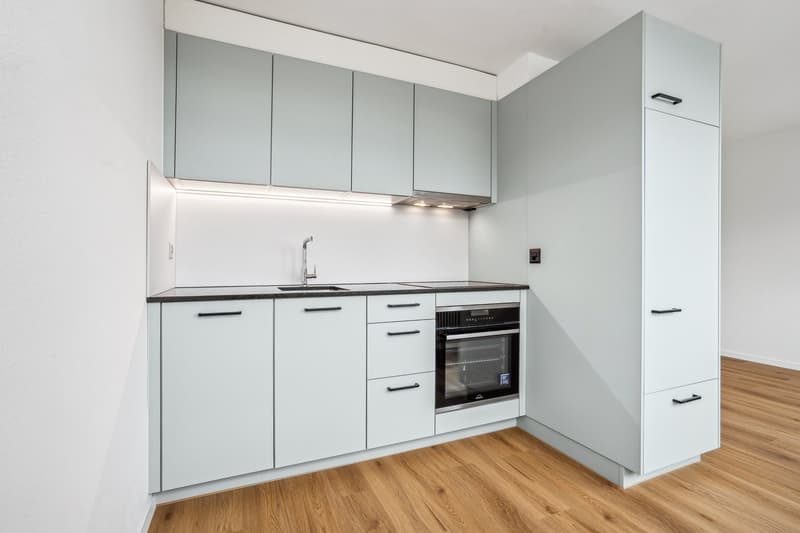 Appartement 1.5 pièces avec vue sur le lac au 7e étage (3)