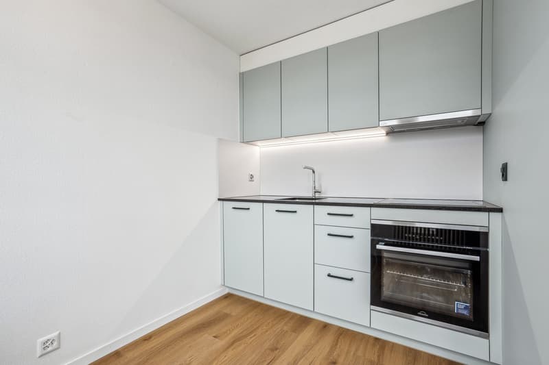Appartement 1.5 pièces avec vue sur le lac au 7e étage (4)