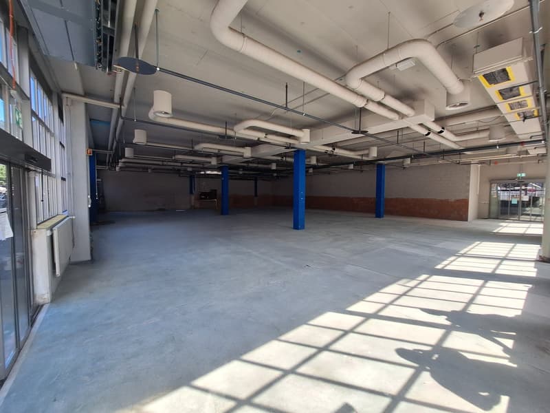 Attractive commercial space in prime location in Biel (8)