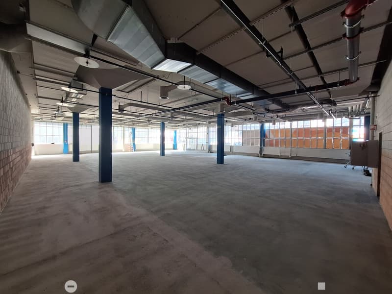 Attraktive Gewerbefläche an bester Lage in Biel (7)