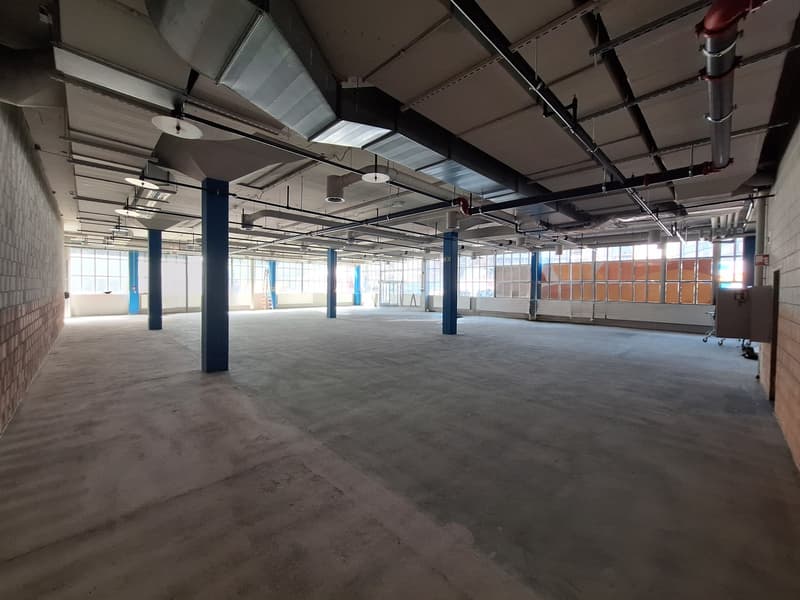 Attractive commercial space in prime location in Biel (7)