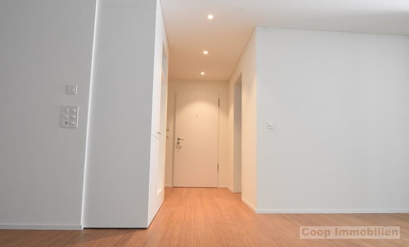 Appartement mansardé moderne 2½ pièces (3)