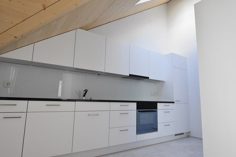 Appartement mansardé moderne 2½ pièces (4)