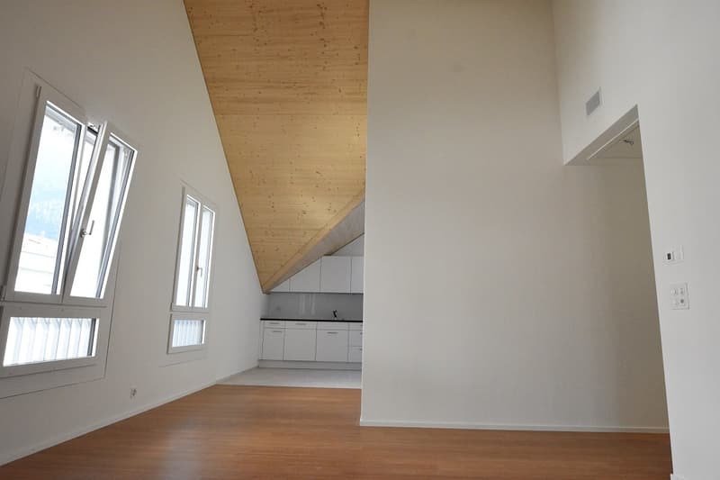 Appartement mansardé moderne 2½ pièces (2)