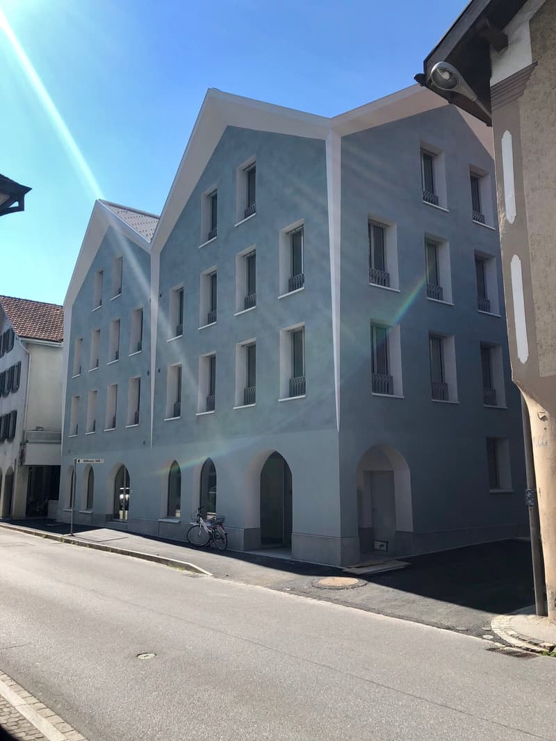 Appartement mansardé moderne 2½ pièces (1)