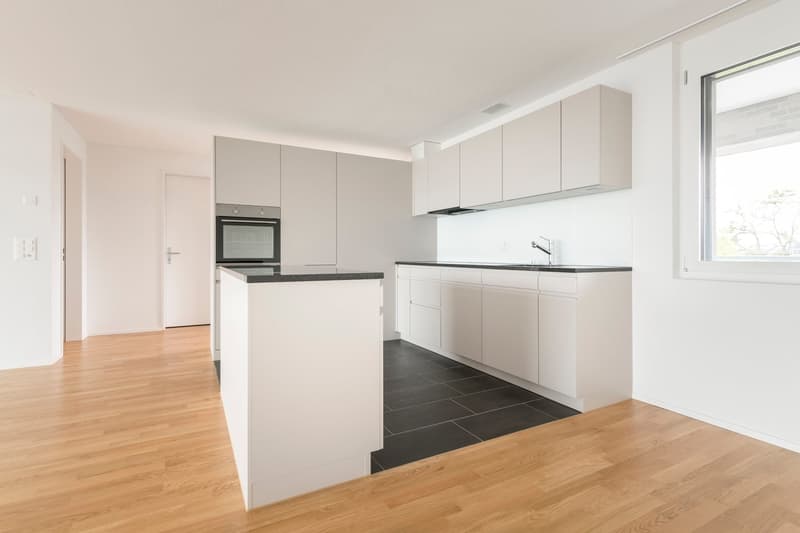 Moderne, grosszügige, helle 2,5 Zimmerwohnung im 3.OG (3)