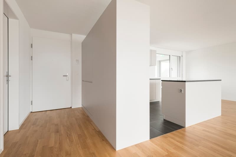 Moderne, grosszügige, helle 2,5 Zimmerwohnung im 3.OG (8)