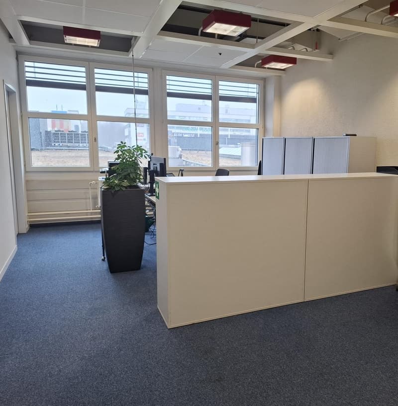 Large open space, white walls, beige carpet, large window, plant in a pot, white desk, 3 white drawers, ceiling lamps, radiator