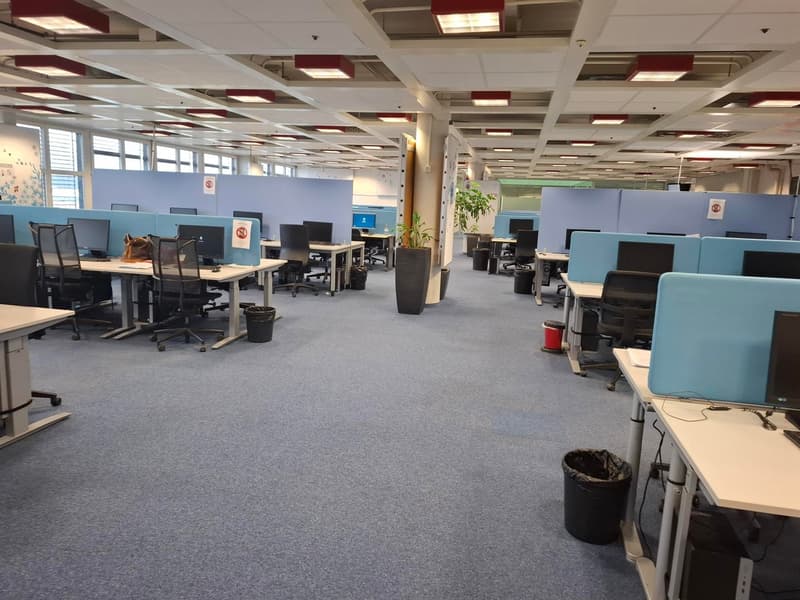 modern office space with desks, monitors, computers, trash bins, blue cubicle walls, plants, carpeted floor, overhead lighting