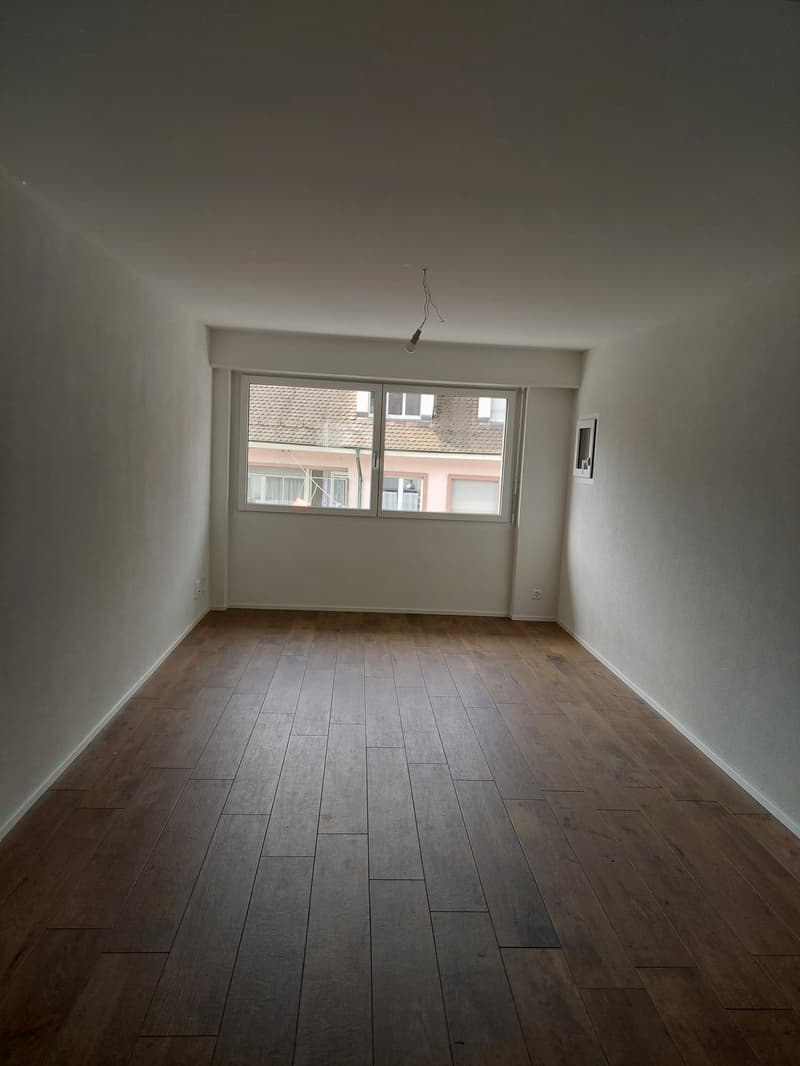 Appartamenti 2.5 locali meravigliosi (3)