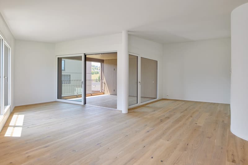 modern room with wooden floors, white walls, glass sliding doors leading to a balcony, minimalist decor