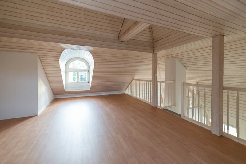 St. Gallen - Zentrale und lässige Dach-Wohnung mit Galerie, Cheminée und Balkon! (2)