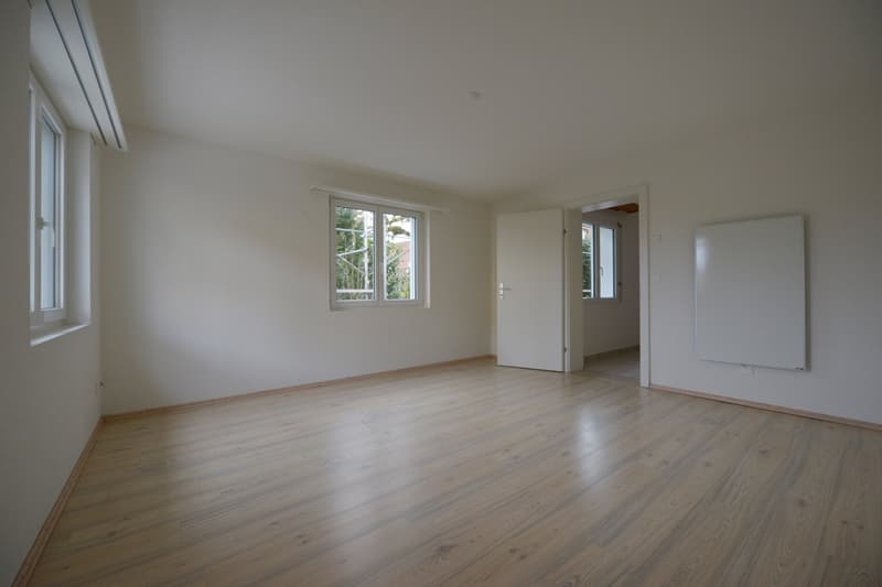 Garten-Wohnung mit Wintergarten und Sitzplatz (17)