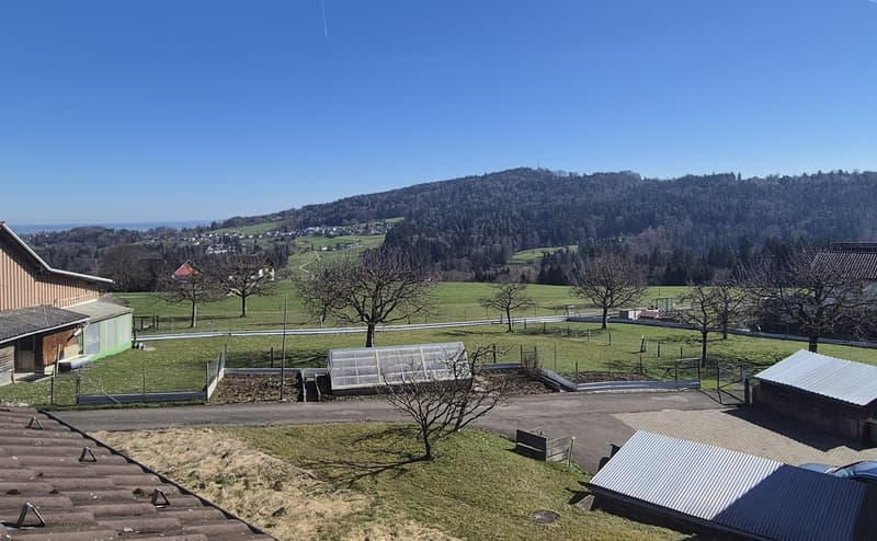 Aerial view of a garden with a greenhouse, a building, and a car parked in the distance. The garden is surrounded by a fence and has a road leading to it. The background features a mountain and a village.
