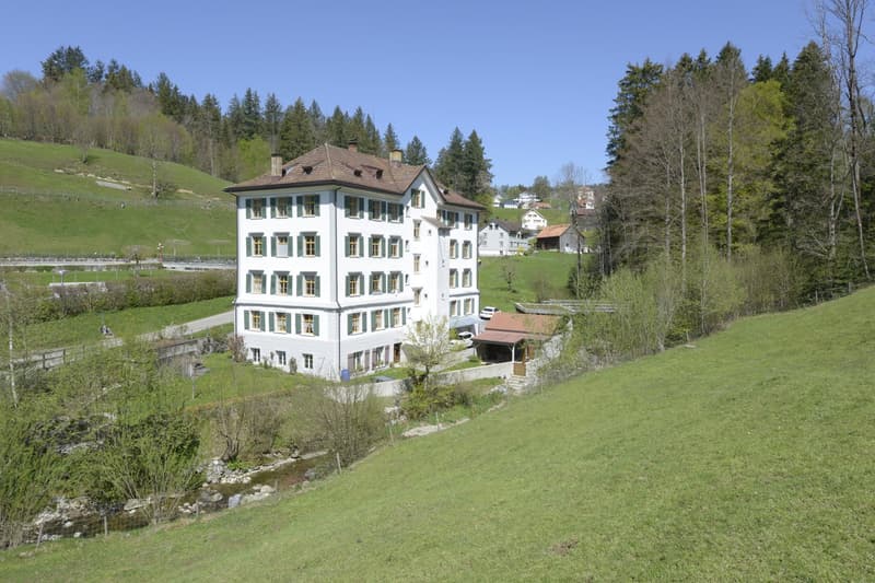 Teufen - a true living pleasure! (1)