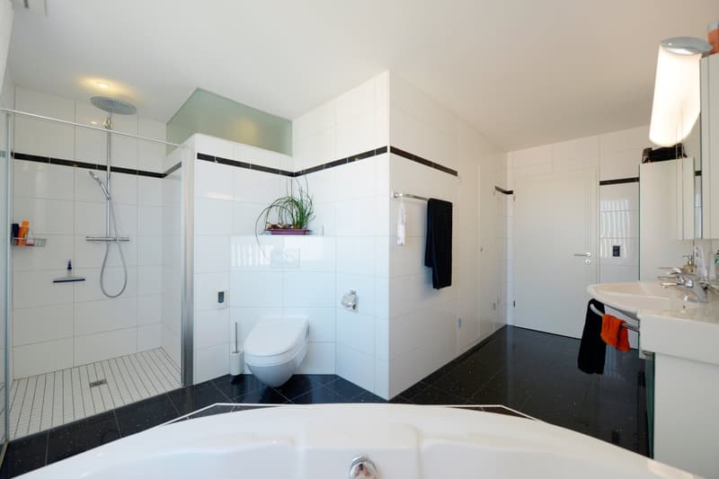 Traumhafte 4 1/2 Zimmer-Attika-Wohnung mit Lift, Terrassen und Aussicht (11)