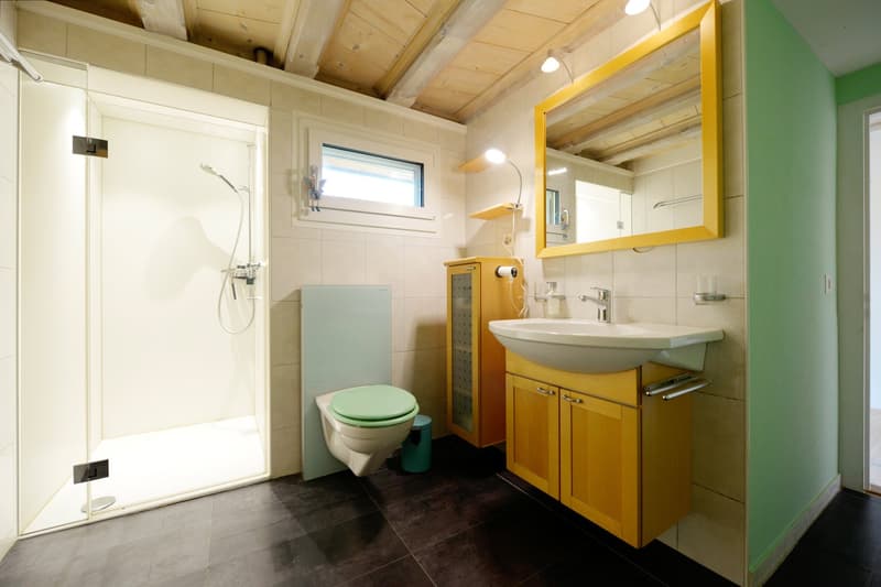 Amriswil-Hefenhofen - charmantes 5.5-Zimmer-Doppeleinfamilienhaus – sofort verfügbar! (6)