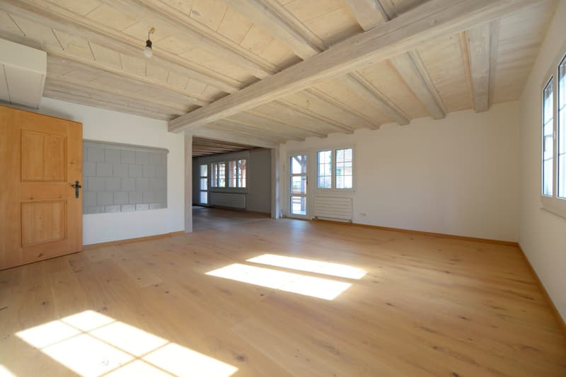 Amriswil-Hefenhofen - charmantes 5.5-Zimmer-Doppeleinfamilienhaus – sofort verfügbar! (10)