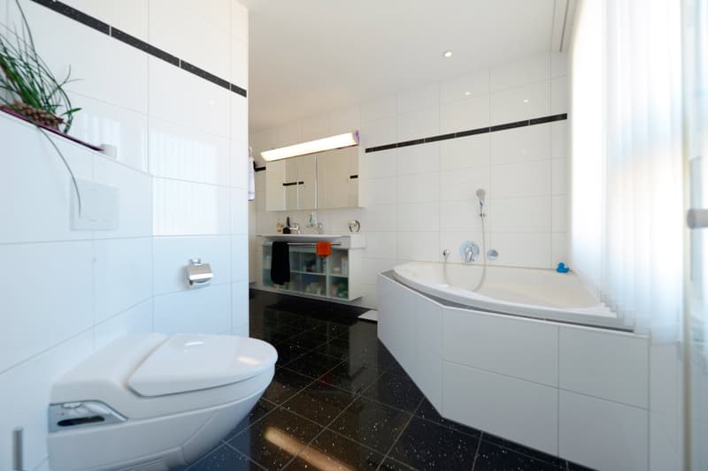 Traumhafte 4 1/2 Zimmer-Attika-Wohnung mit Lift, Terrassen und Aussicht (17)
