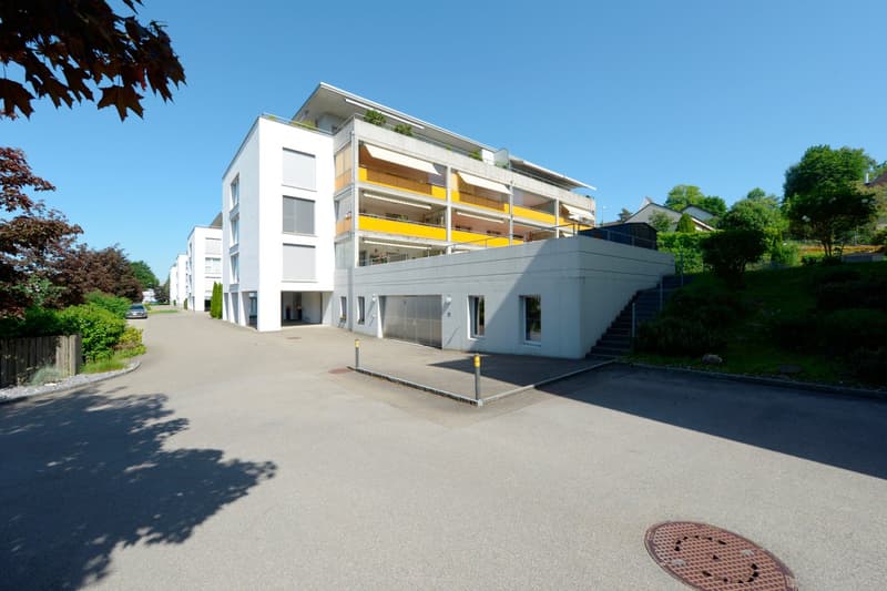 Traumhafte 4 1/2 Zimmer-Attika-Wohnung mit Lift, Terrassen und Aussicht (2)
