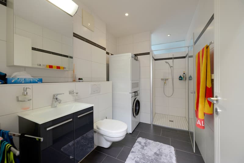 Traumhafte 4 1/2 Zimmer-Attika-Wohnung mit Lift, Terrassen und Aussicht (13)
