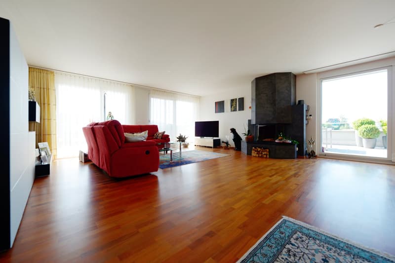 Traumhafte 4 1/2 Zimmer-Attika-Wohnung mit Lift, Terrassen und Aussicht (6)