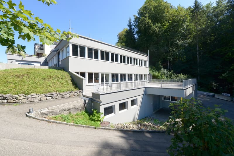Attraktive Gewerbeliegenschaft zur Umnutzung (Wohnen) (1)