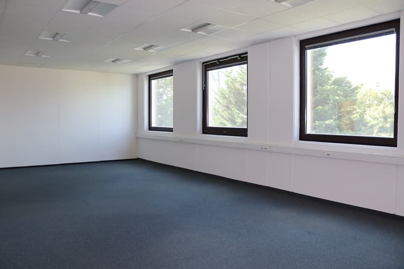 ZI ZIMEYSA - Satigny - Uffici di 400 m2 (3)
