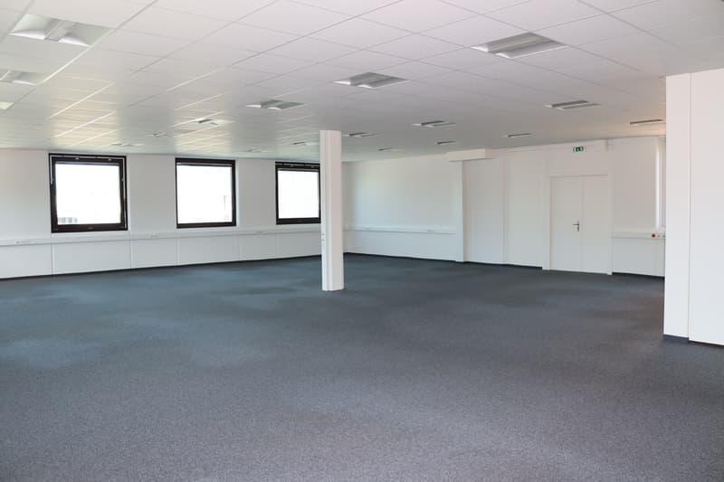 ZI ZIMEYSA - Satigny - Uffici di 400 m2 (6)