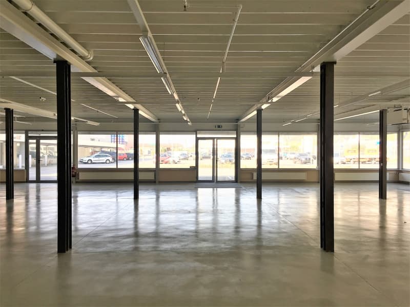 Arcade commerciale/magasin 490m2 - Zone commerces (3)